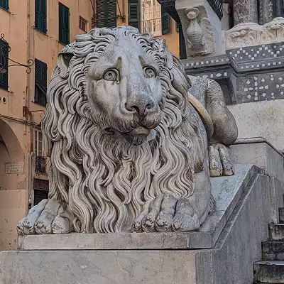 One of the two large lions on the steps of San Lorenzo Cathedral in Genoa, by Carlo Rubatto, around 1845